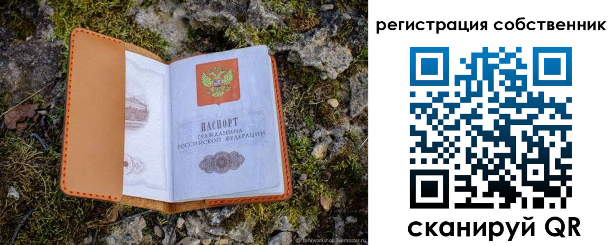 прописка поиск в Топках